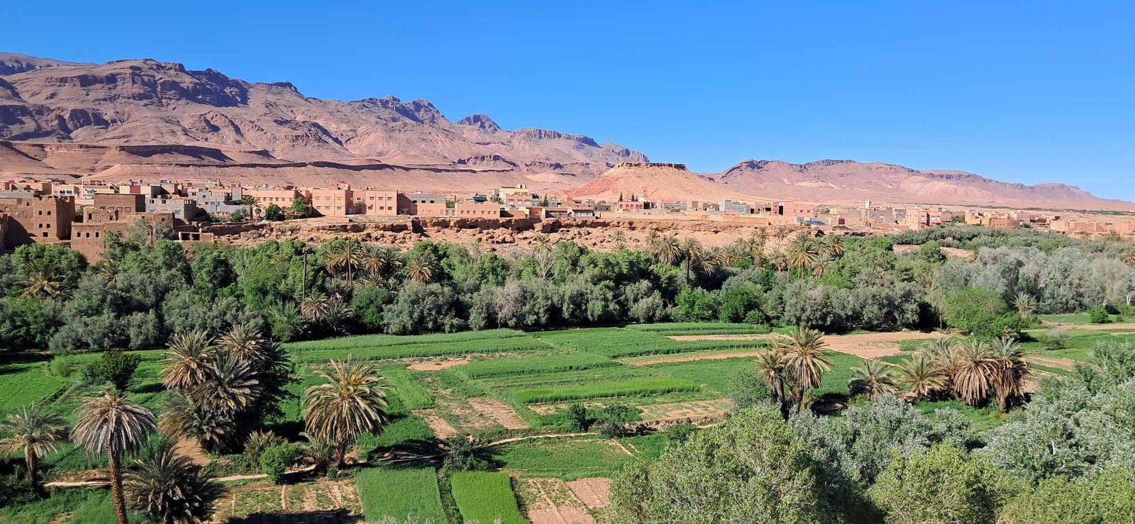 Green palm oasis and kasbah village below the mountains in southern Morocco